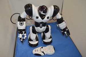wowwee ltd robot