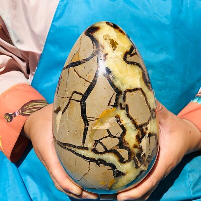 7.45LB Natural Turtle back dinosaur egg crystal quartz mineral healing 2124