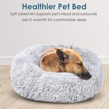 petshoppe dog bed