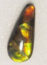 AMMOLITE MULTICOLOR Ct. 9,45