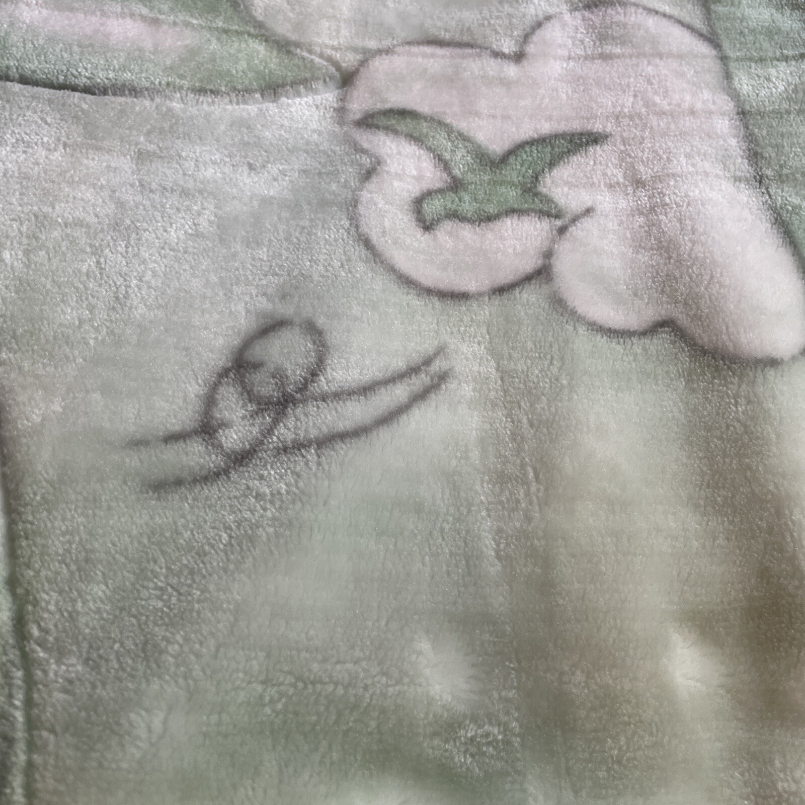 Picture 6 of 8