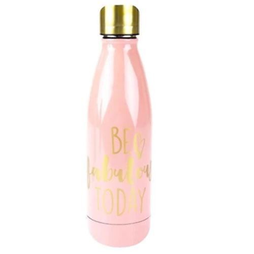 Boston Warehouse Stainless Steel 17 Oz. Double-Walled Bottle, Fabulous