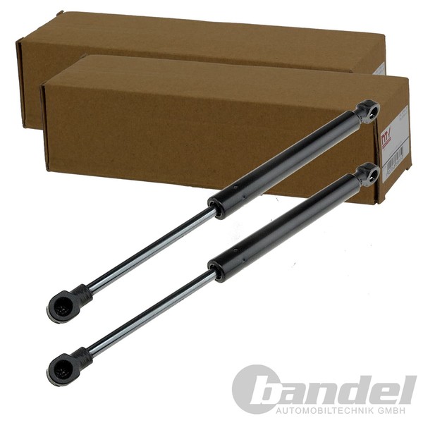 2X NTY Gasfedern MOTORHAUBEN-LIFTER Passend FüR Land Rover Range Links+Rechts |-image