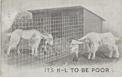 HUMOROUS Postcard ''Goat Series'' I.H.B. Publisher 1910 Used