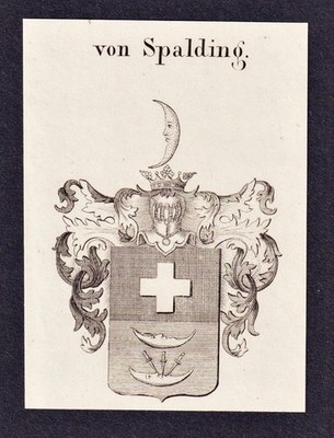 Spalding Wappen coat of arms Heraldik heraldry Genealogie Kupferstich 1820
