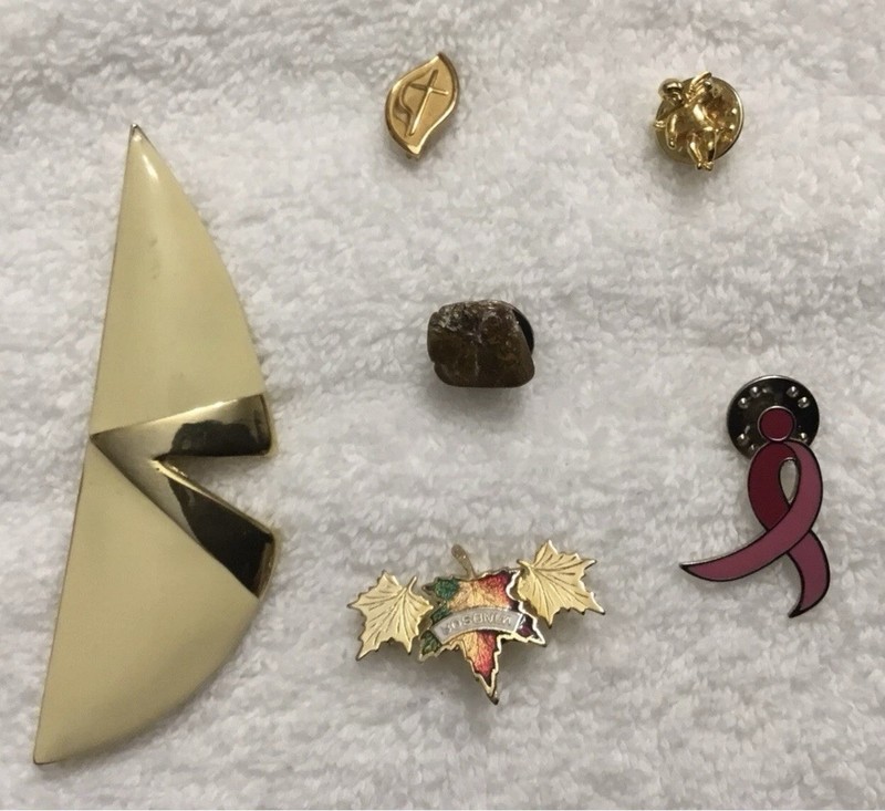 Vintage Costume Jewelry Lot Earrings Brooch Pins Necklace