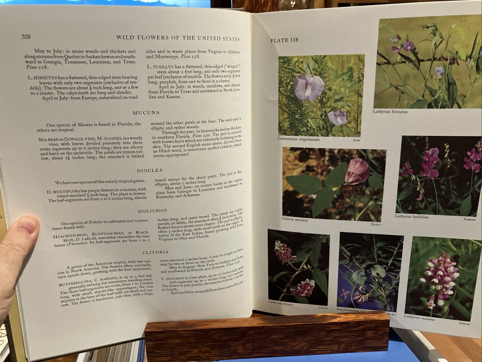 Wildflowers of The United States The Southeastern States 1st Edition 2 Volumes