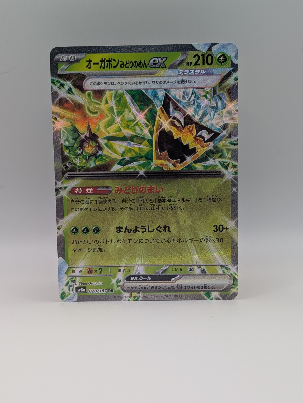 Teal Mask Ogerpon ex 020/187 Sv8a Pokemon Terastal Festival Holo Near Mint-image
