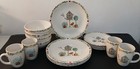 16 piece Vintage Thomson Pottery Birdhouse Dinnerware Set — photo 1