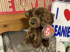 Ty Beanie Baby Cocoa the Brown Chocolate Lab Dog 6-inch Plush Stuffed Toy