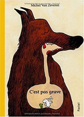 C'est pas grave French Edition Michel Van Zeveren