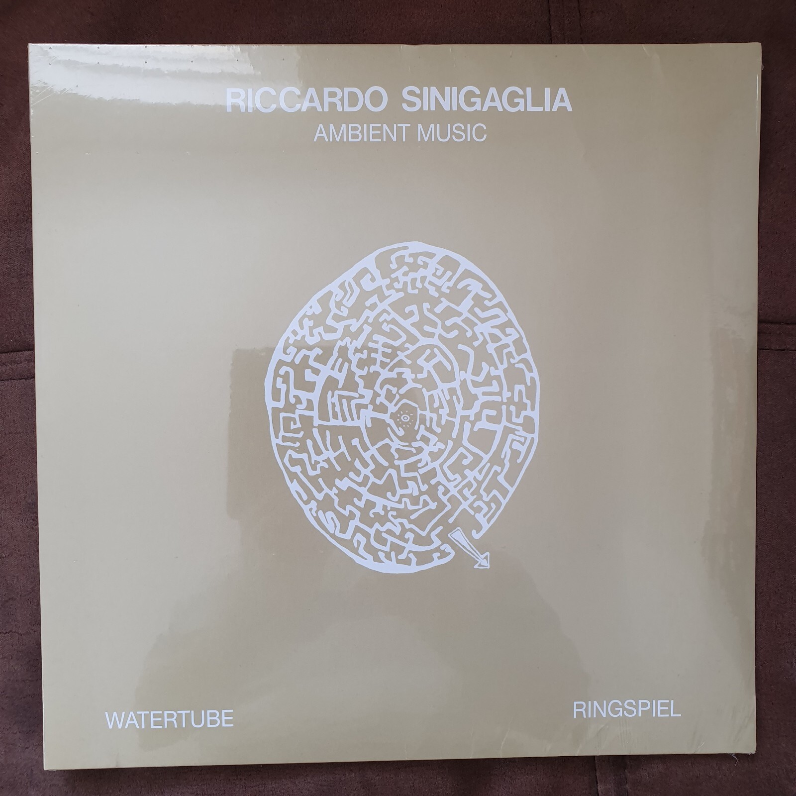 Riccardo Sinigaglia - Ambient Music Vinyl