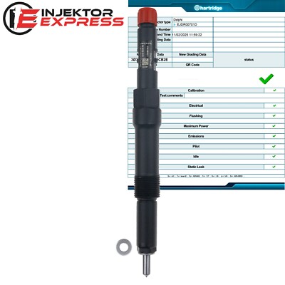 EJDR00701D 6S7Q9K546AA R00701D Einspritzdüse Ford Mondeo Jaguar X-Type 2.2