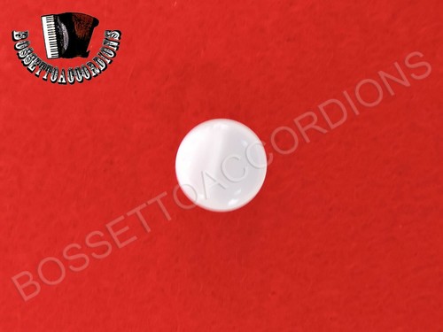 Accordion Buttons White Pearl 11 x 6.5 (mm) - Picture 3 of 3