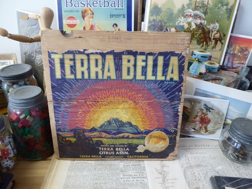 RARE+ ORANGE CRATE BOX END LABEL VINTAGE C1930 TERRA BELLA TULARE COUNTY