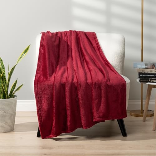 PAVILIA Fleece Blanket Throw | Super Soft, Plush, Luxury Flannel Throw | - 第 3/9 張圖片