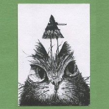 ACEO art card original pen and ink drawing pop surreal Ink Cat 26 Tim Olly