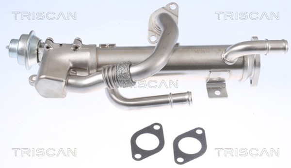 Triscan KüHler AbgasrüCkfüHrung 8813 29333 FüR Audi A4 B7 8EC Avant 8ED A6 C6-image