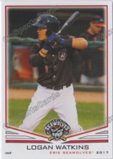 2017 Erie SeaWolves Logan Watkins RC Rookie Detroit Tigers