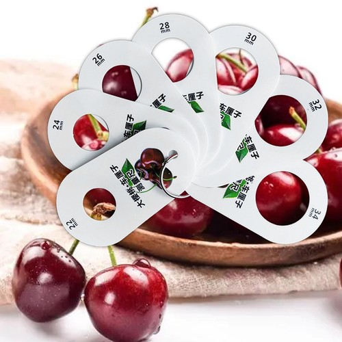 Cherry Measuring Ruler Ruler for Fruits Cherry Fruit Caliper Measurer Standard Measurement for ...