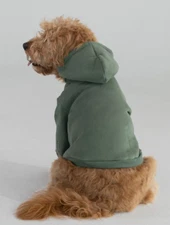 Comfrt Standard Paw Pet Pullover Hoodie Sweater Sweatshirt Green Size Medium