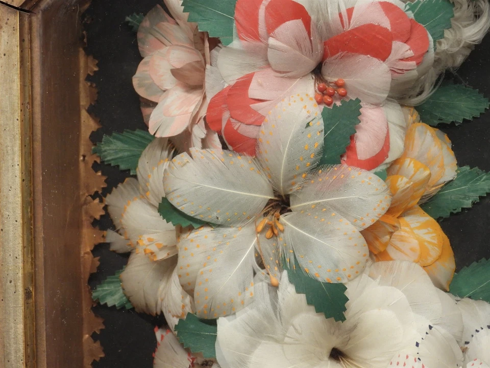 BOM! Grinalda de penas corte arte popular datada de 1882 em moldura de caixa de sombra de nogueira vitoriana - Imagem 4 de 4