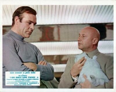 You Only Live Twice Sean Connery talks to Donald Pleasence holds cat 8x10 photo