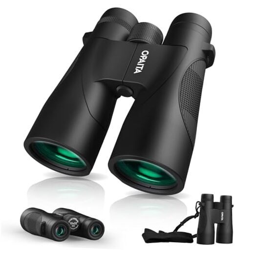 Hot carson vp 8x42 review Hotsell