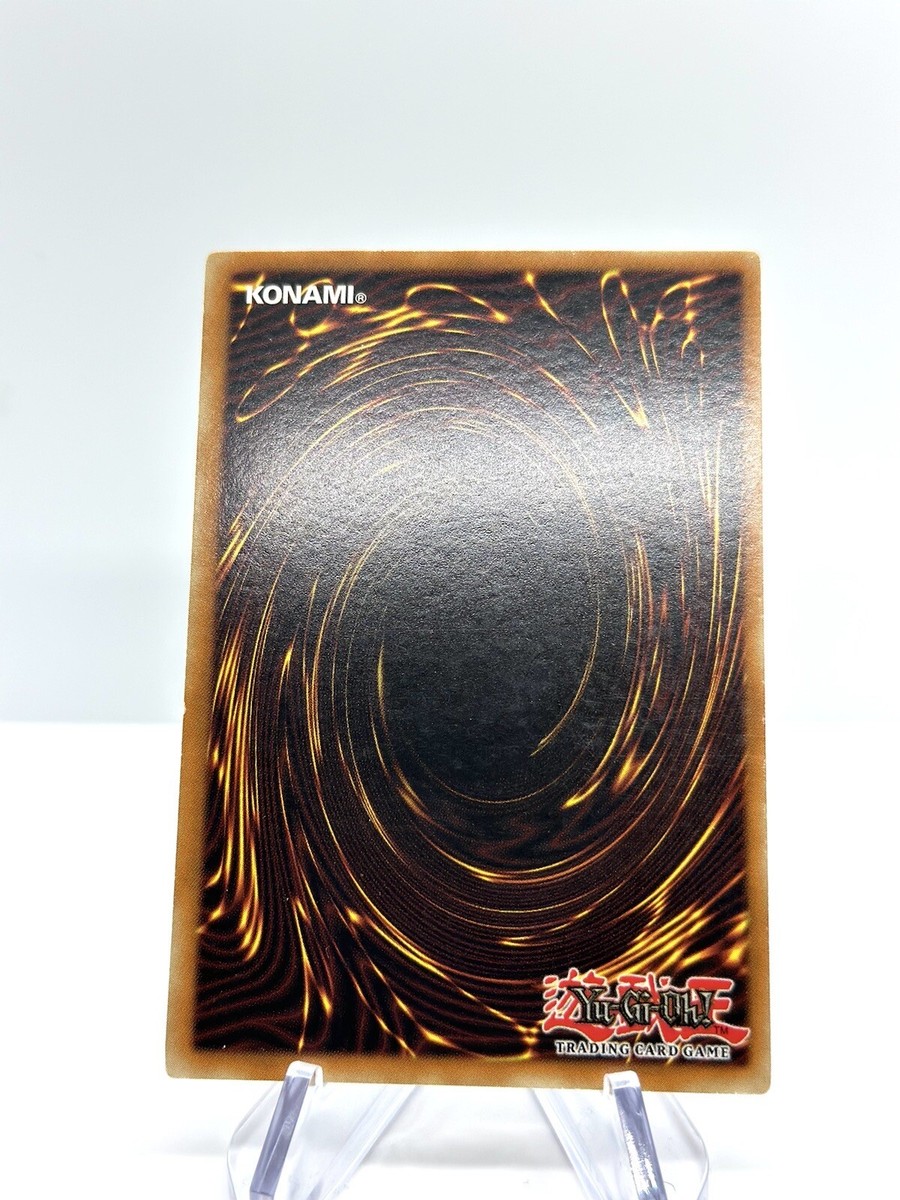 ダークロード Chevy Big-Block V-8 ZZ427/480 - 19331572– maitamotorsports