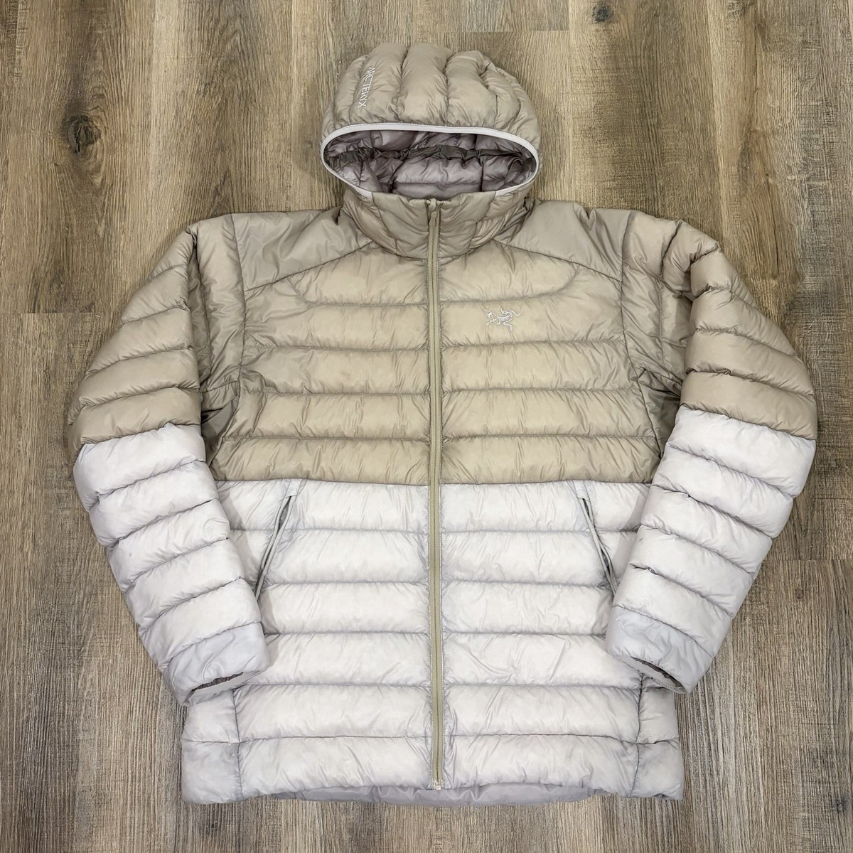 Size L - Arc