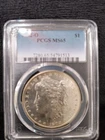 1902-O Morgan $1 PCGS MS65  Light Edge Toning Plus Slight Die Rotation