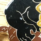 Photo 4/21