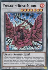 Yu-Gi-Oh! Dragon Rose Noire : SR RA04-FR057