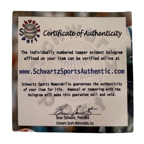 Ray Allen Boston Celtics Autographed Wilson NBA Basketball (SCHWARTZ) - Picture 5 of 6