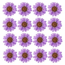 48 Pcs Dried Pressed Flower Natural Dried Daisy Flower,Deep Purple
