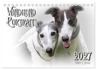 Windhund Portrait 2027 White Edition (Tischkalender 2027 DIN A5 Quer), Calvendo