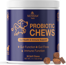 Probiotic Chews for Dogs  Gut Health  Digestive Support  Healthy Skin  Coat
