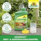 Bild 6 von 7
