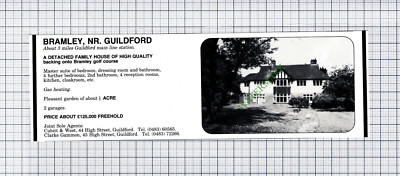 C7838) Bramley Guildford  - 1981 Cutting