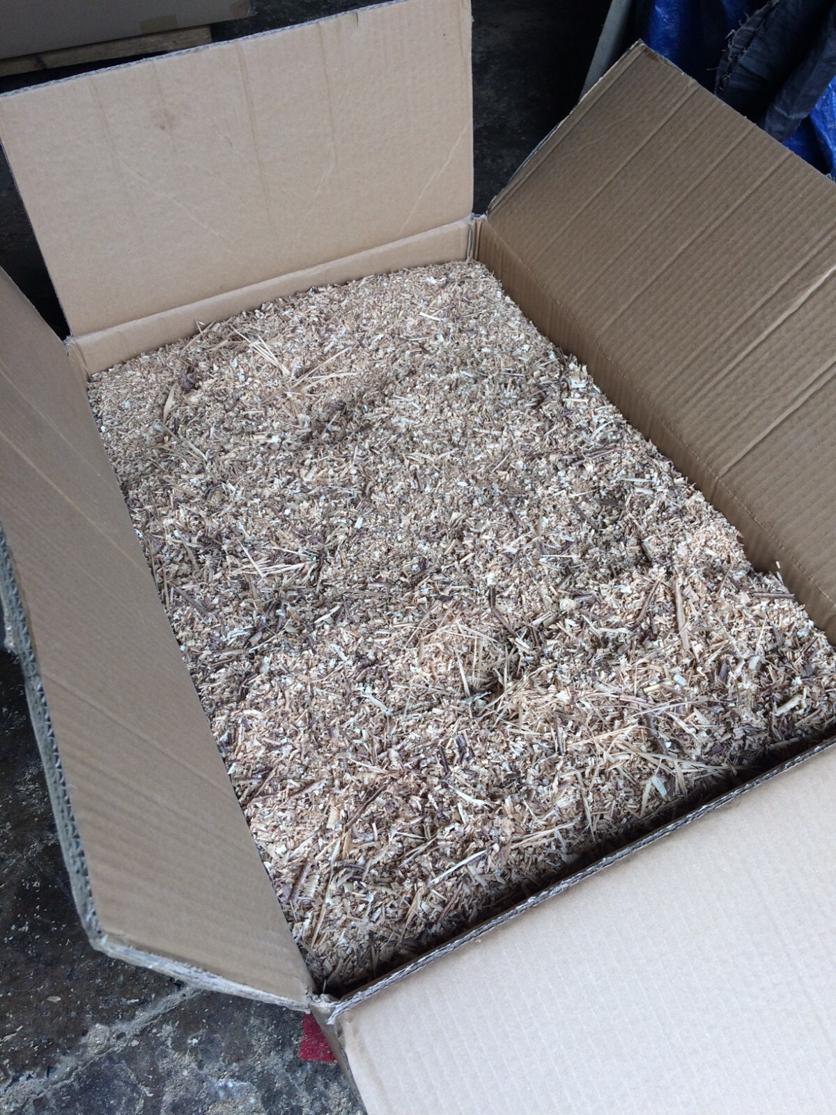 5KG Box Oak Sawdust kiln dried wood chips, dust, shavings, smoker