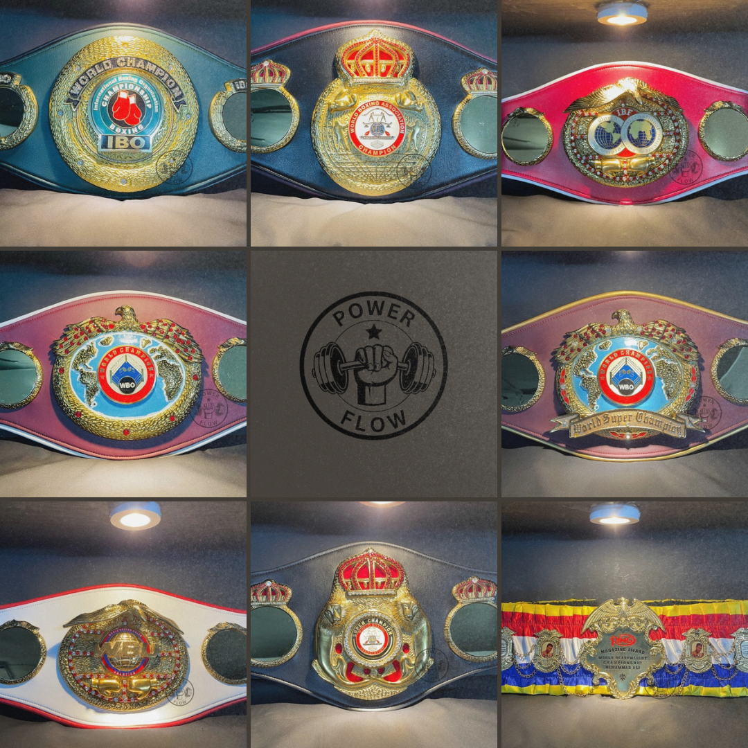 WBO, WBA, WBU, IBF, IBO & Ring Magazine Boxing Championship