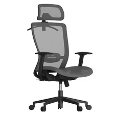 Ergonomic Office Chair, High Back Mesh Swivel Computer Chair, Executive Offic...