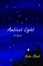 Ambient Light: A Novel