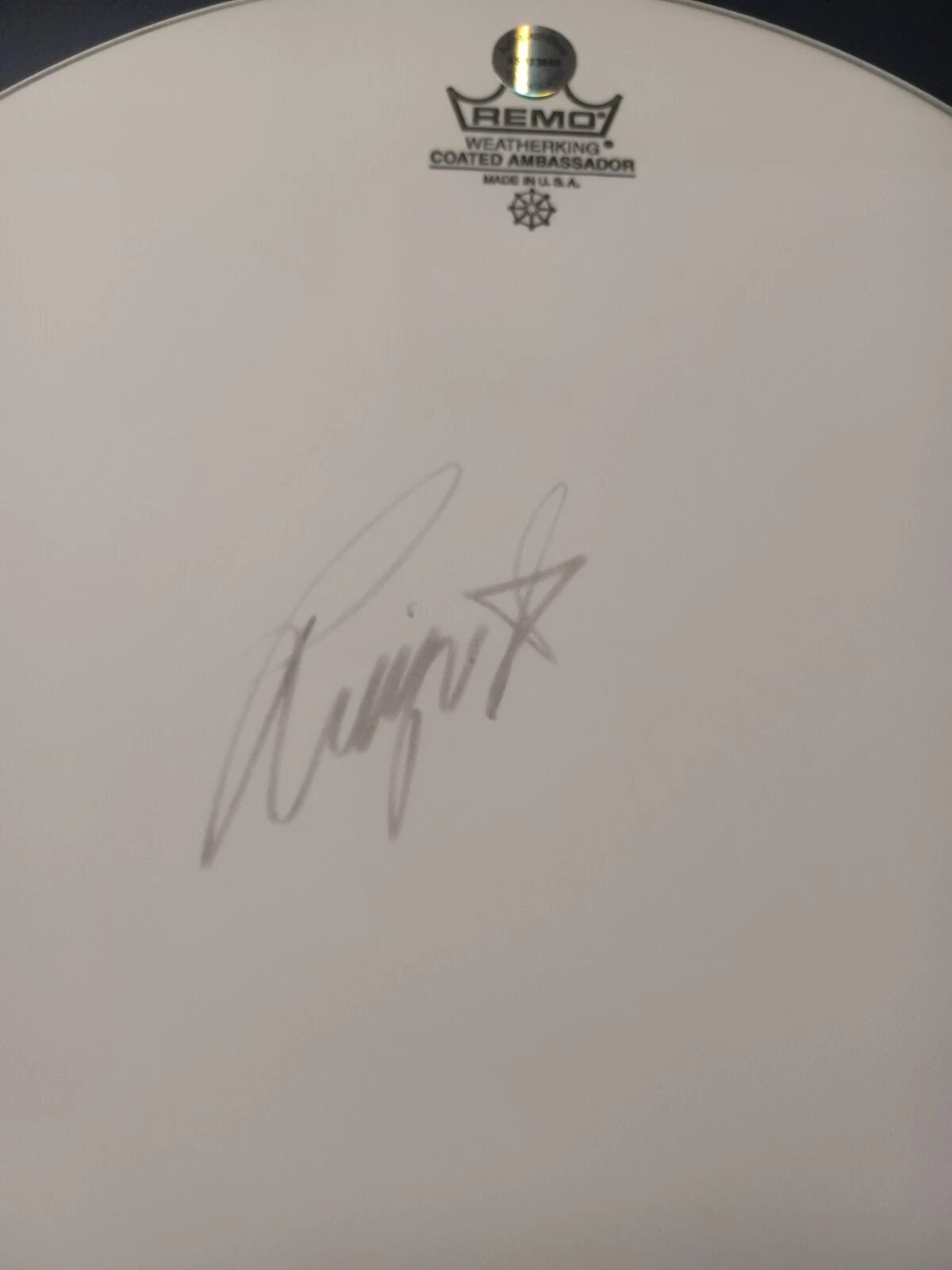 Picture 2 of 11