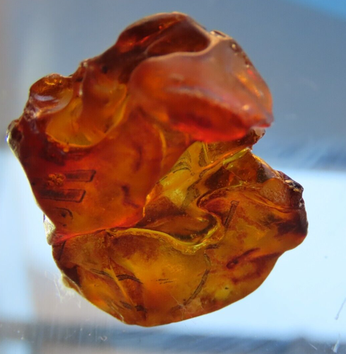 RAUER SELTENER ROTER BERNSTEIN COPAL AUS MEXIKO - 1 STÜCK = @ 2,5 bis 4,5 grs - Bild 5 von 9