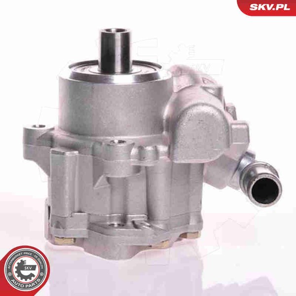 Hydraulikpumpe Lenkung Esen SKV 10SKV117 FüR CC Astra Opel Aluminium T92 GSI 16V-image