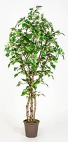 Artplants Deko WeißBirke Hindrika, NaturstäMme, GrüN, 300Cm