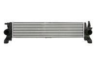 Thermotec LadeluftküHler DAM034TT FüR MERCEDES-BENZ