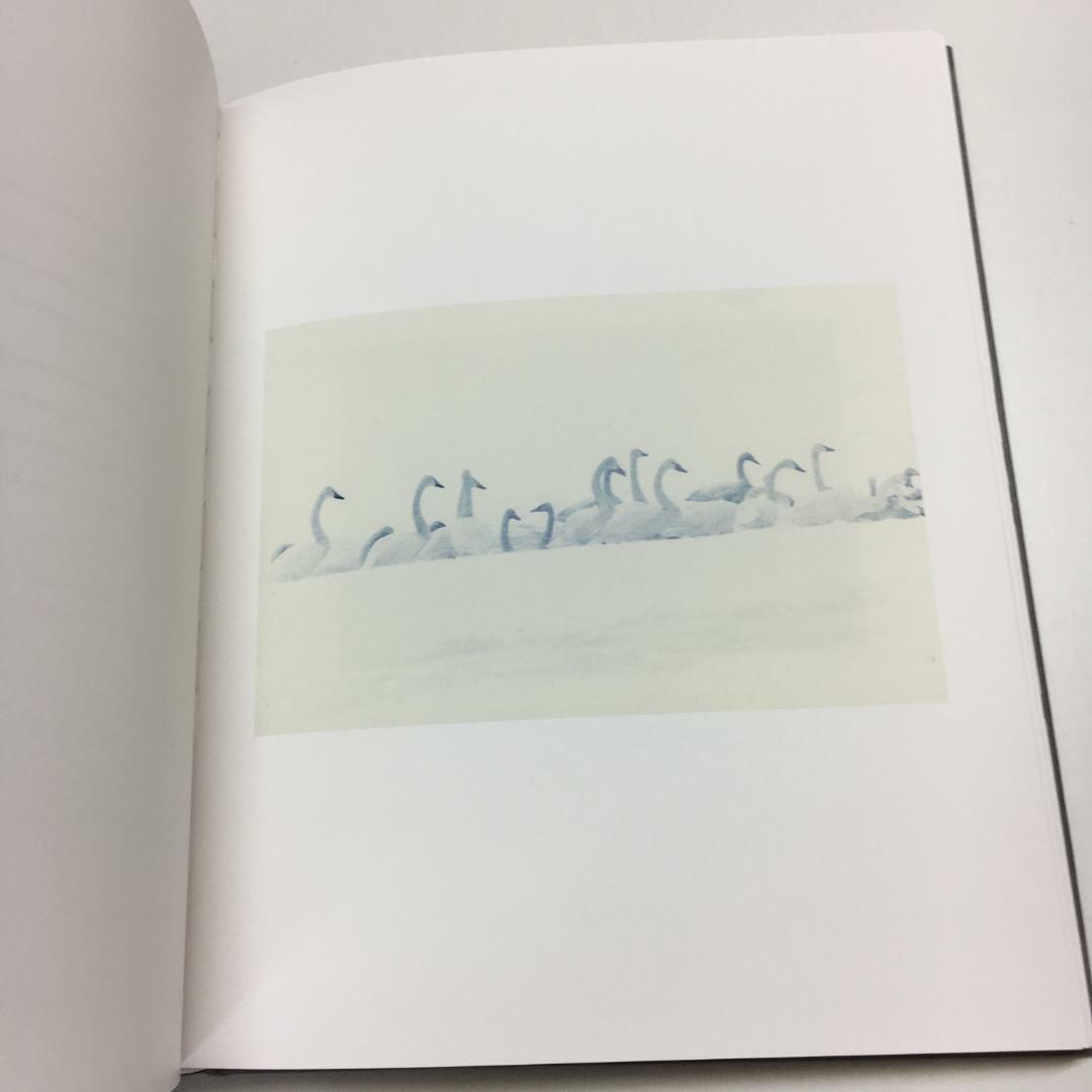 アート・デザイン・音楽 Masao Yamamoto Tori signed アート・デザイン・音楽 Masao Yamamoto Tori signed Masao