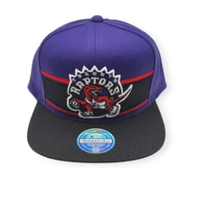Mitchell & Ness Toronto Raptors Eredita 110 Purple Adjustable Snapback Hat Cap